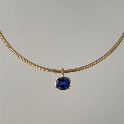 Omega Chain Necklace